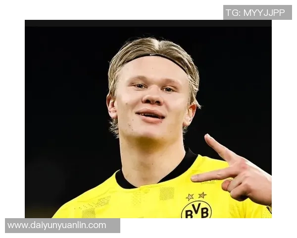 哈兰德足球明星头像解析与背后故事揭秘